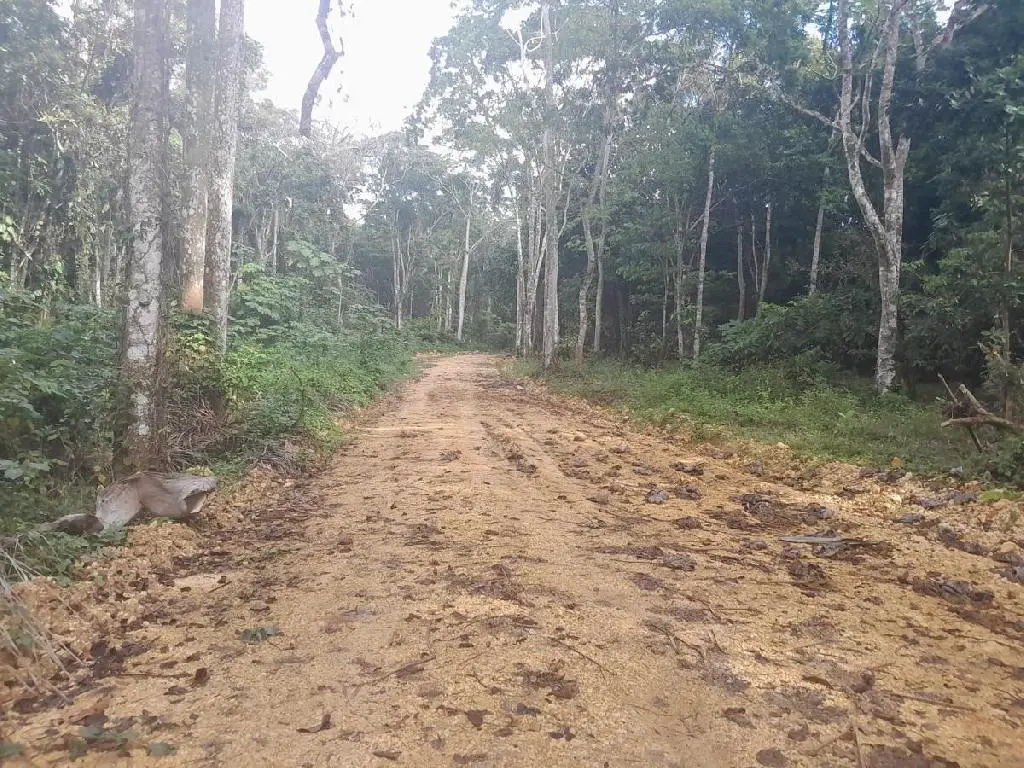 Descubre la Belleza de Boya Monte Plata para tu Proyecto de Fincas Foto 7211820-1.jpg