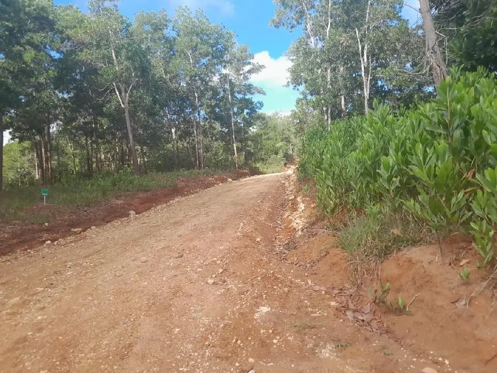 Descubre la Belleza de Boya Monte Plata para tu Proyecto de Fincas Foto 7211820-3.jpg