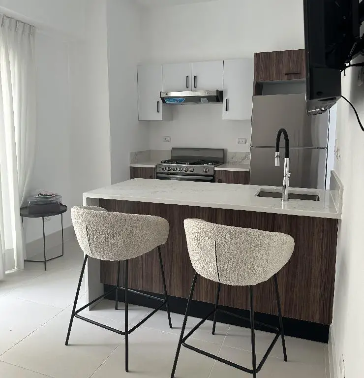 Apartamento En Alquiler Amueblado De 1 Habitación En El Ensanche Serra Foto 7214024-3.jpg