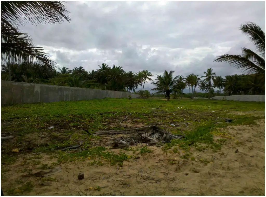 SE VENDEN 600000 DE METROS CUADRADOS CON PLAYA EN UVERO ALTO CON LA ME Foto 7218221-7.jpg