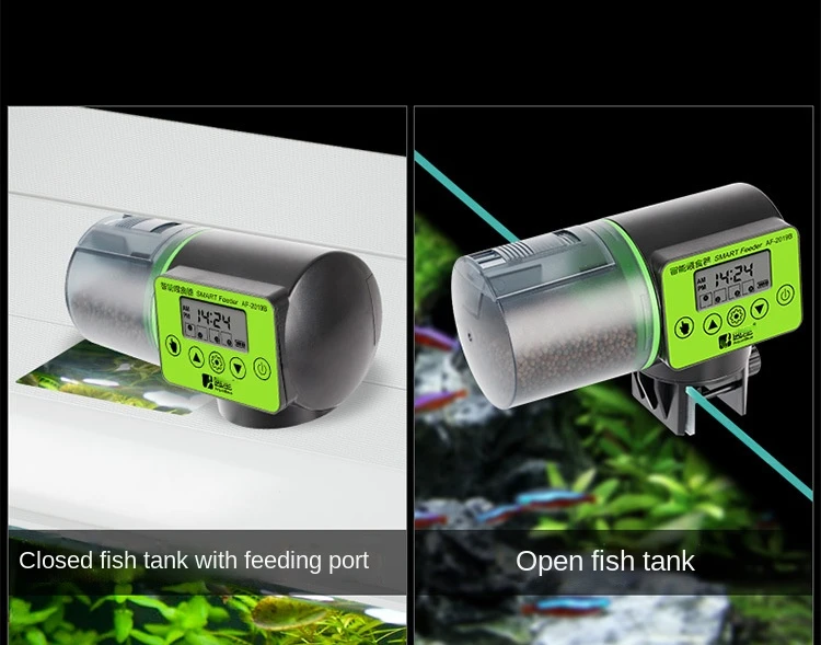 Alimentador automático para peces con 4 programación diarias. Foto 7221397-6.jpg