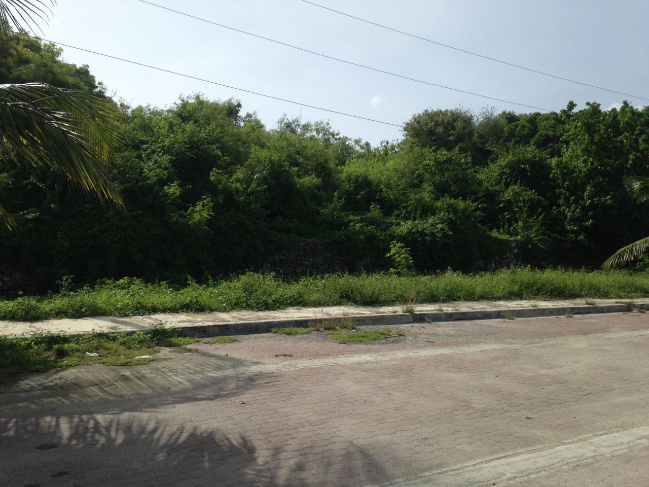 Solar Parcela En Costa Boca Chica Comercial O Residencial Foto 7221781-2.jpg