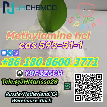 EU Warehouse CAS 593-51-1 Methylamine hydrochloride   Threema Y8F3Z5CH Foto 7222783-3.jpg