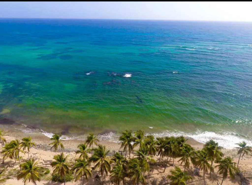 VENTA DE TERRENO En PLAYA NISIBON DEL MUNICIPIO DE HIGEY La Altagracia Foto 7223029-5.jpg