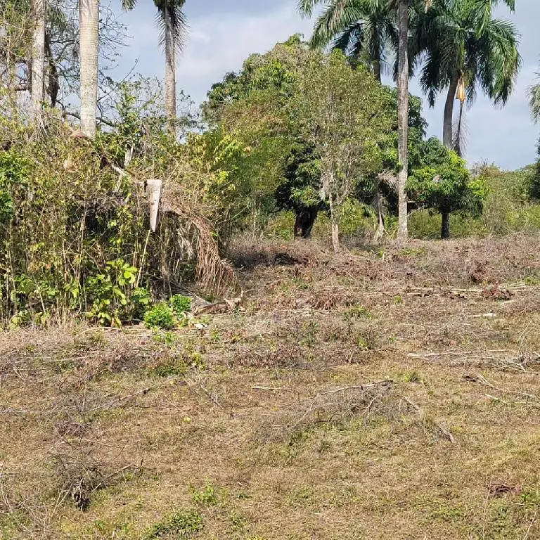 Vendo finca en Monte Plata a 5 minutos de la carretera de Samaná Foto 7223045-1.jpg