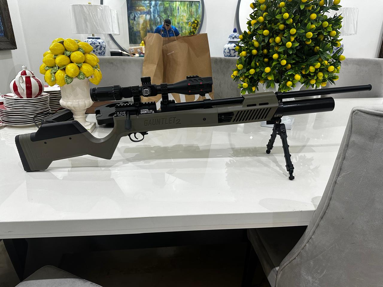 Rifle PCP GAUNTLET-2 En Cal.22 y cal.25 Foto 7228377-x1.jpg