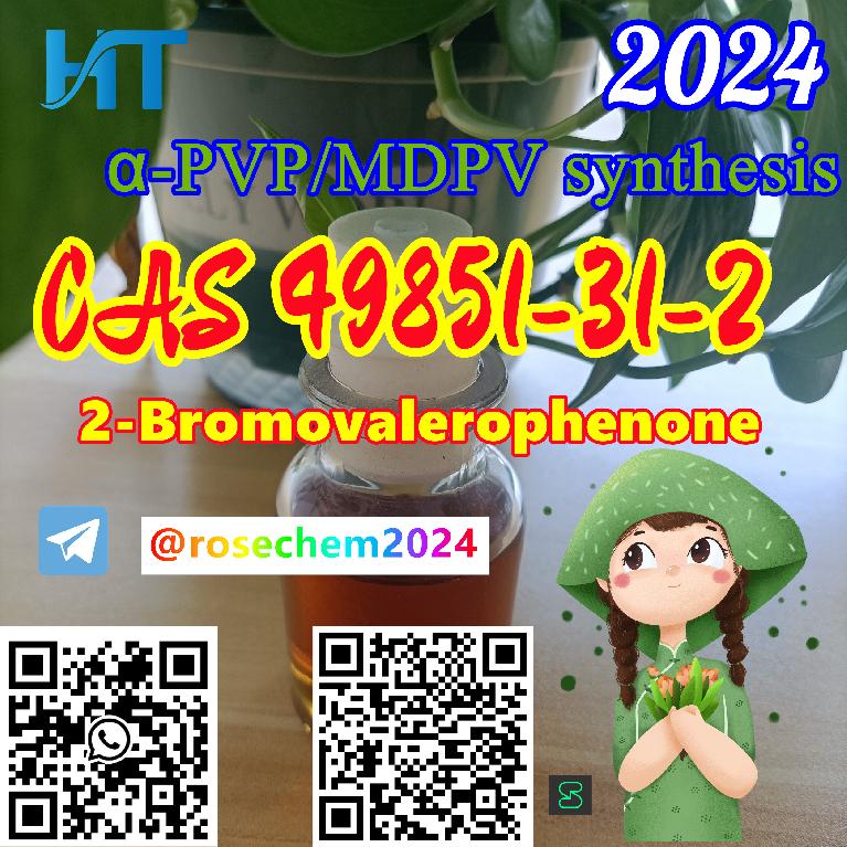2-Bromovalerophenone CAS 49851-31-2 with High Purity Safe  Fast Shippi Foto 7228488-3.jpg