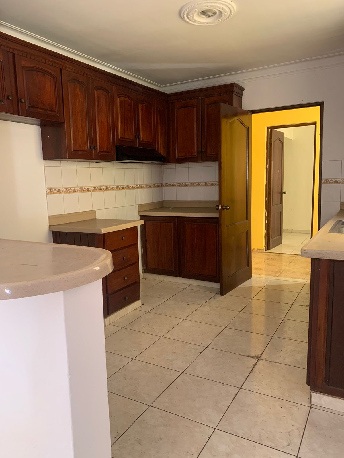 Inmobiliaria Aiki group srl  ALMA ROSA II APARTAMENTO EN VENTA  RD7700 Foto 7229727-1.jpg