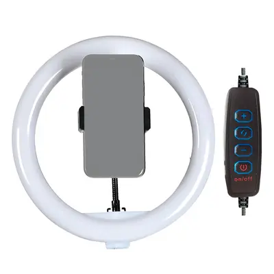 Aro Iluminador Led Rgb 25cm 10 en Santo Domingo Norte Foto 7230999-2.jpg