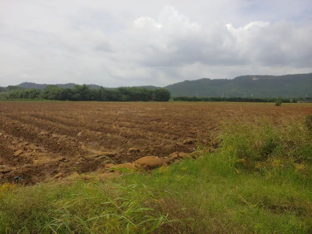 Se Vende Hermosa Tierra en Bonao y es una Finca de 59 Tareas de terren Foto 7231573-1.jpg