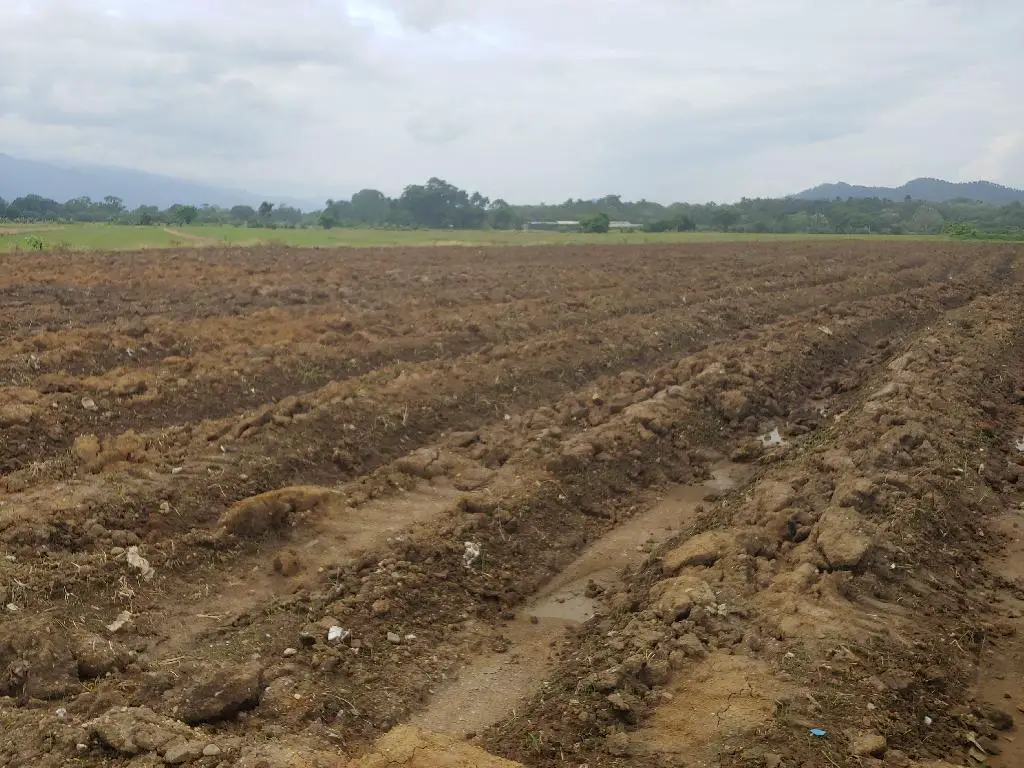 Se Vende Hermosa Tierra en Bonao y es una Finca de 59 Tareas de terren Foto 7231573-2.jpg