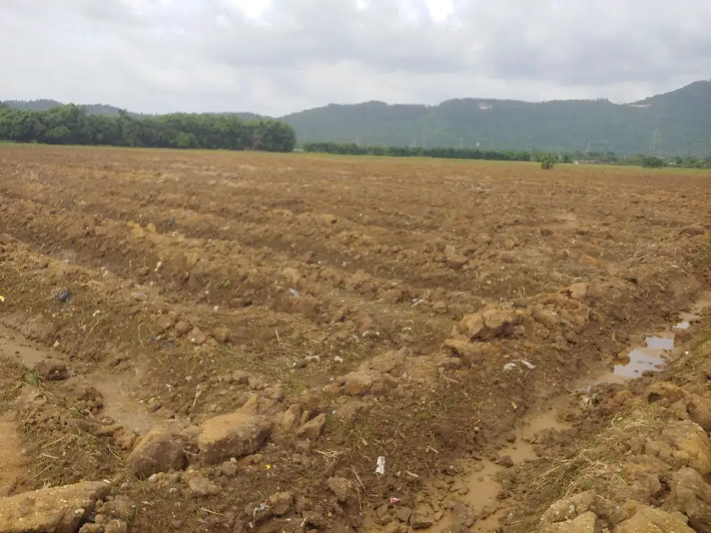 Se Vende Hermosa Tierra en Bonao y es una Finca de 59 Tareas de terren Foto 7231573-3.jpg