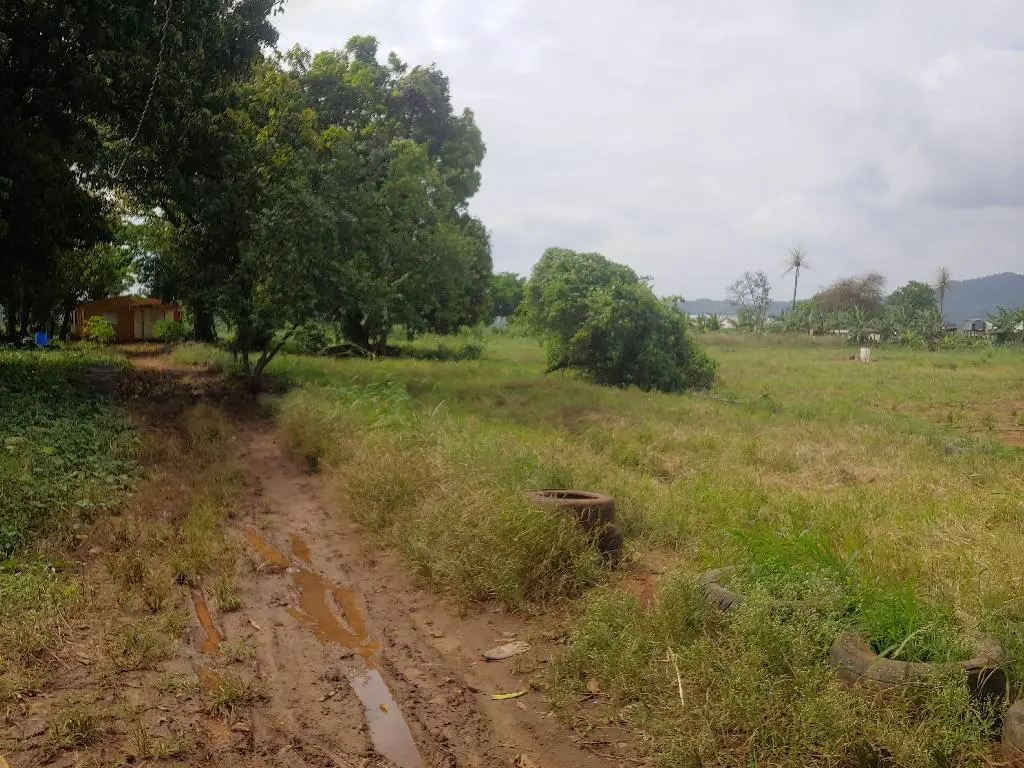 Se Vende Preciosa Tierra en la Yuca Mirador Bonao es una finca de 42 T Foto 7231574-2.jpg