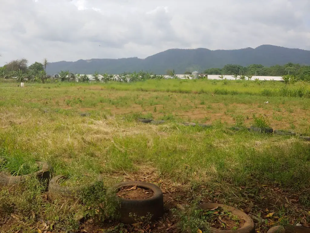 Se Vende Preciosa Tierra en la Yuca Mirador Bonao es una finca de 42 T Foto 7231574-3.jpg
