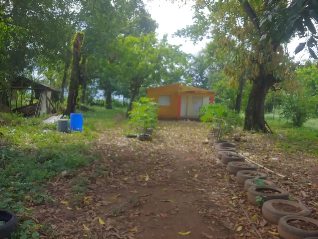 Se Vende Preciosa Tierra en la Yuca Mirador Bonao es una finca de 42 T Foto 7231574-8.jpg