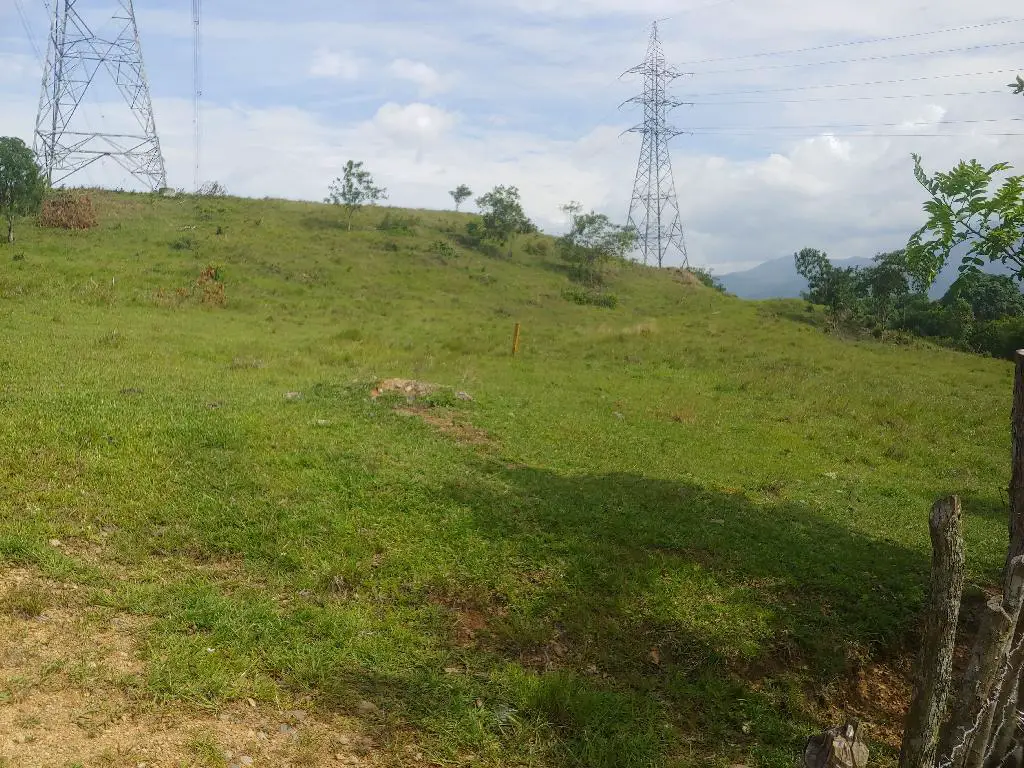 Se Vende Bonita Tierra en el Ingenio Bonao es una finca de 206 Tareas  Foto 7231576-1.jpg