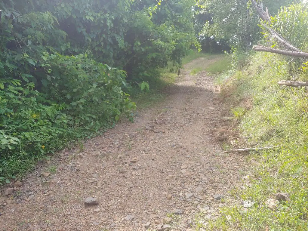 Se Vende Bonita Tierra en el Ingenio Bonao es una finca de 206 Tareas  Foto 7231576-10.jpg