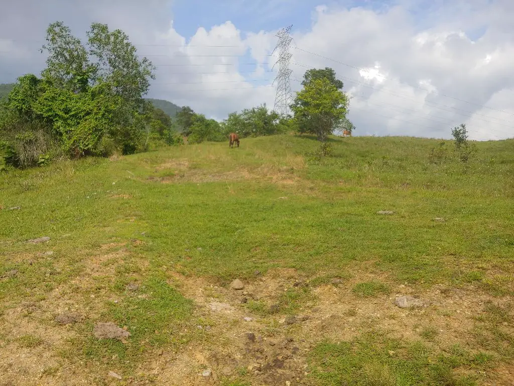 Se Vende Bonita Tierra en el Ingenio Bonao es una finca de 206 Tareas  Foto 7231576-2.jpg