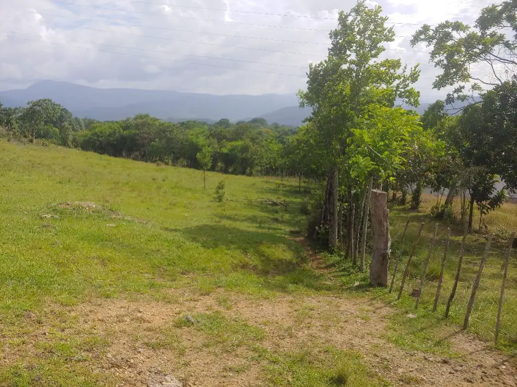 Se Vende Bonita Tierra en el Ingenio Bonao es una finca de 206 Tareas  Foto 7231576-3.jpg