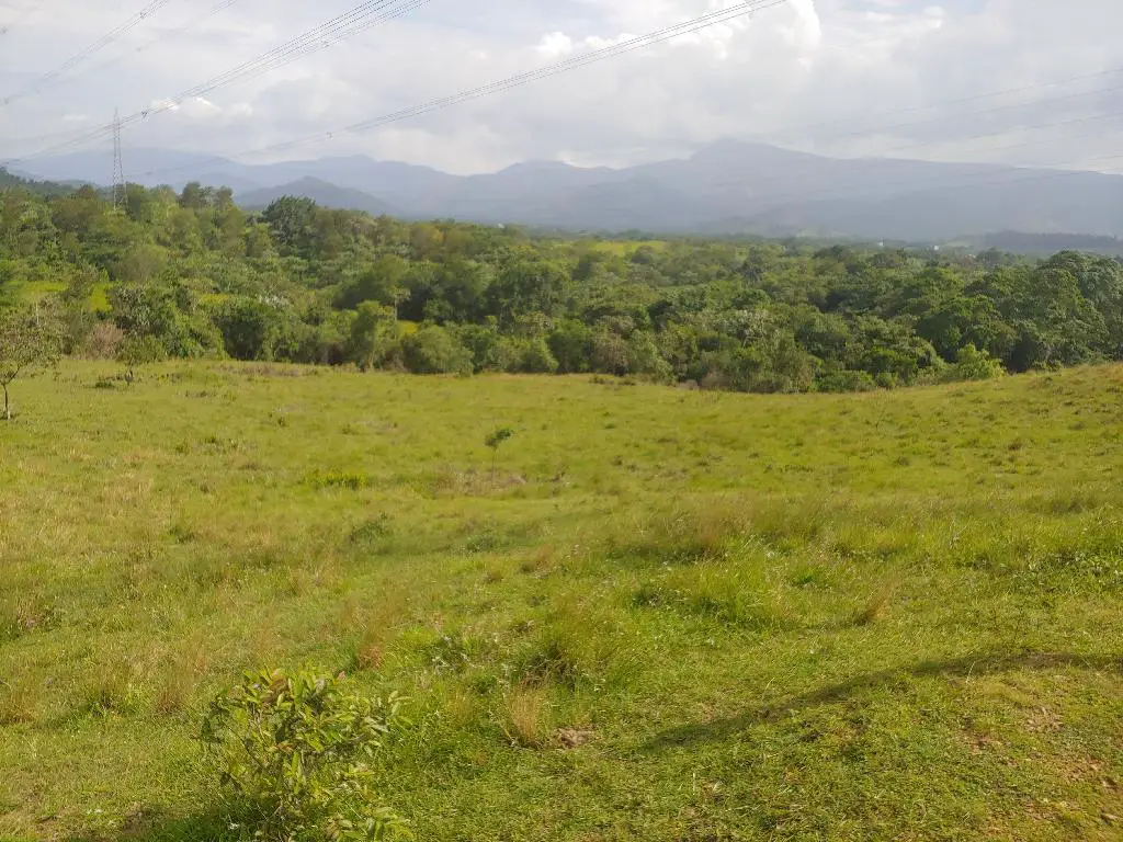 Se Vende Bonita Tierra en el Ingenio Bonao es una finca de 206 Tareas  Foto 7231576-6.jpg