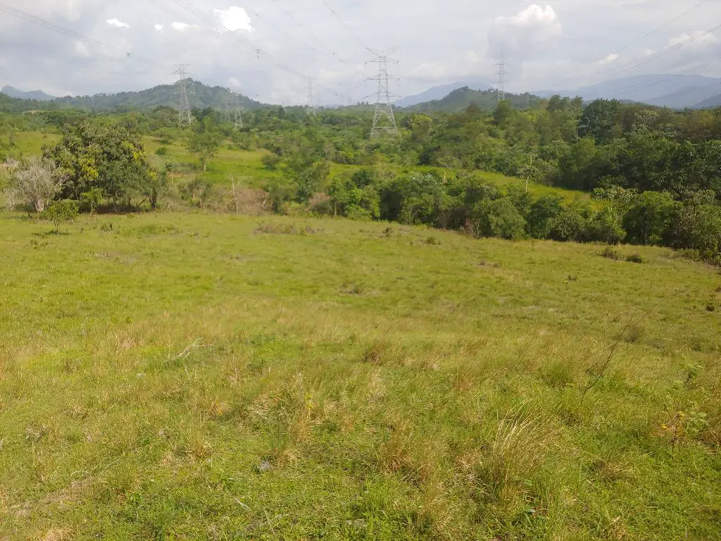 Se Vende Bonita Tierra en el Ingenio Bonao es una finca de 206 Tareas  Foto 7231576-7.jpg