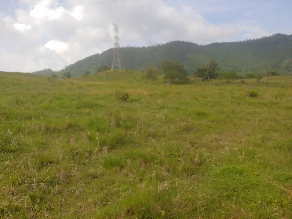 Se Vende Bonita Tierra en el Ingenio Bonao es una finca de 206 Tareas  Foto 7231576-8.jpg