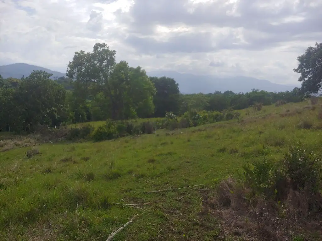 Se Vende Bonita Tierra en el Ingenio Bonao es una finca de 206 Tareas  Foto 7231576-9.jpg