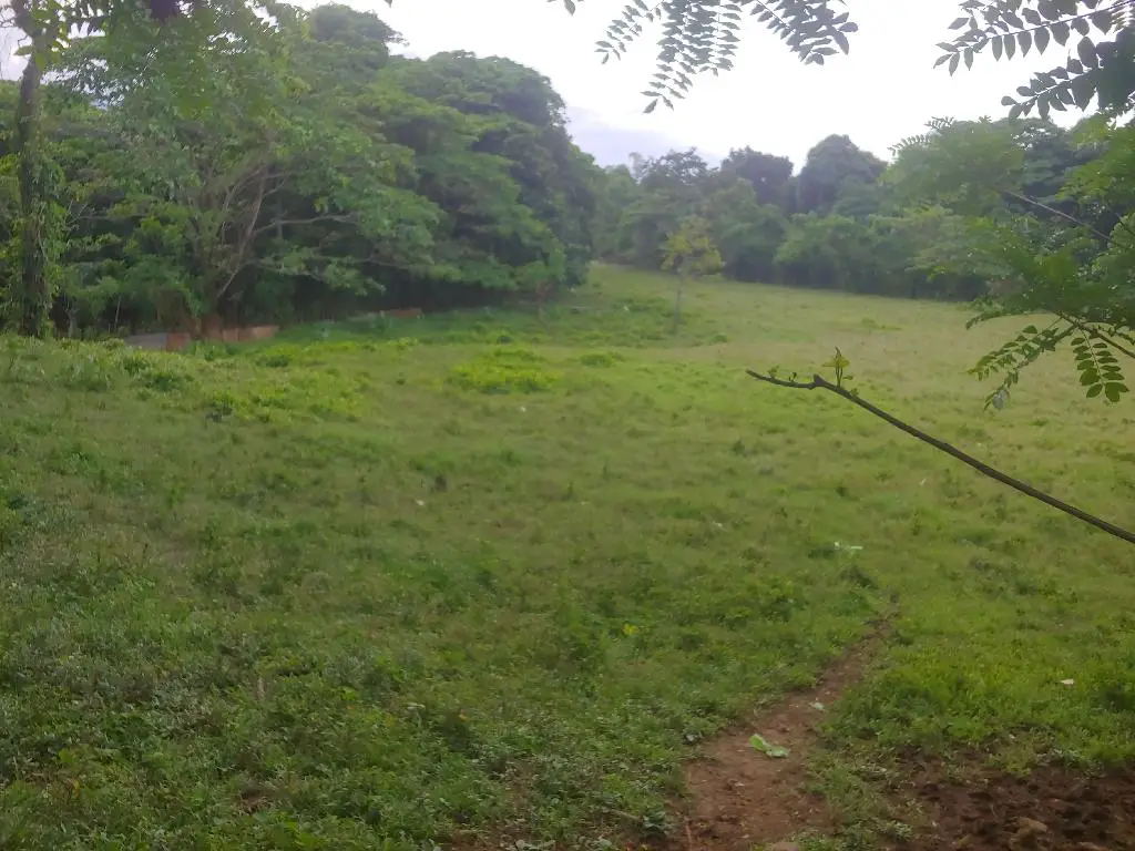 Vendo Hermosa Tierra con dos casas en Bonao y es una Finca de 39 Tarea Foto 7231578-1.jpg