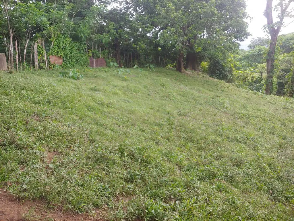Vendo Hermosa Tierra con dos casas en Bonao y es una Finca de 39 Tarea Foto 7231578-2.jpg