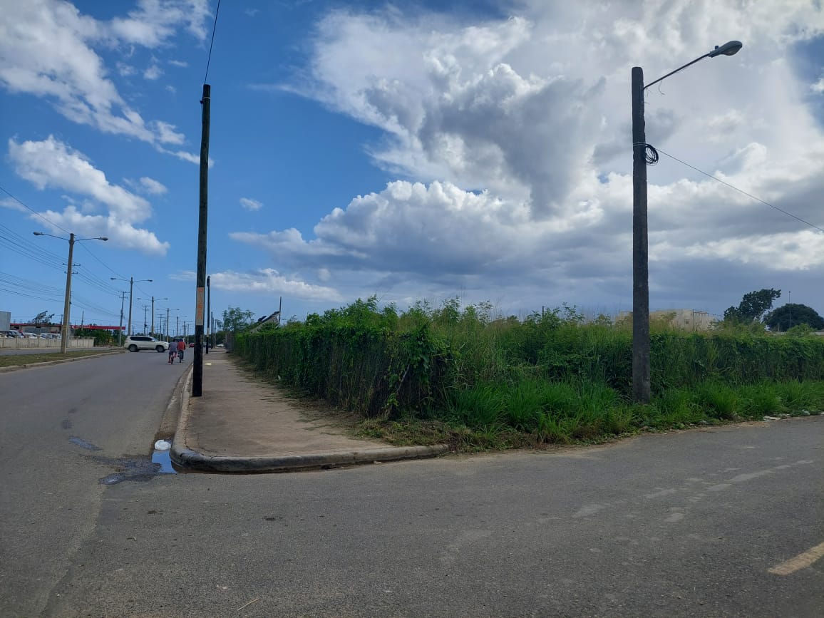 Terreno de 3 mil metros Ave. Hipica proximo a las Americas Ecologica Foto 7231863-1.jpg