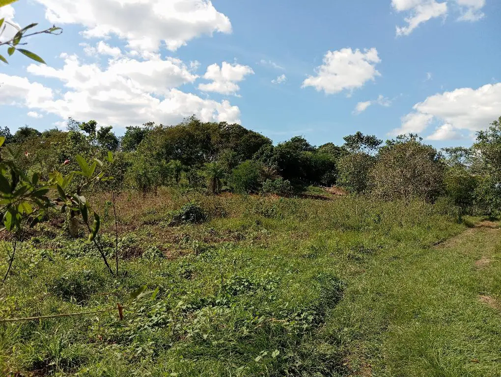 VENTA DE TERRENO GUAZARA DE BARAHONA Foto 7232282-2.jpg