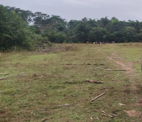 VENTA DE TERRENOS EN BAYAGUANA  Foto 7232510-j1.jpg