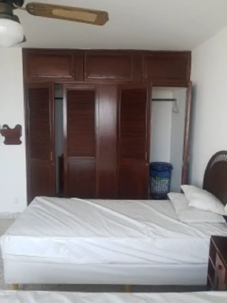 Alquilo Apartamento amueblado en Naco Foto 7232576-7.jpg