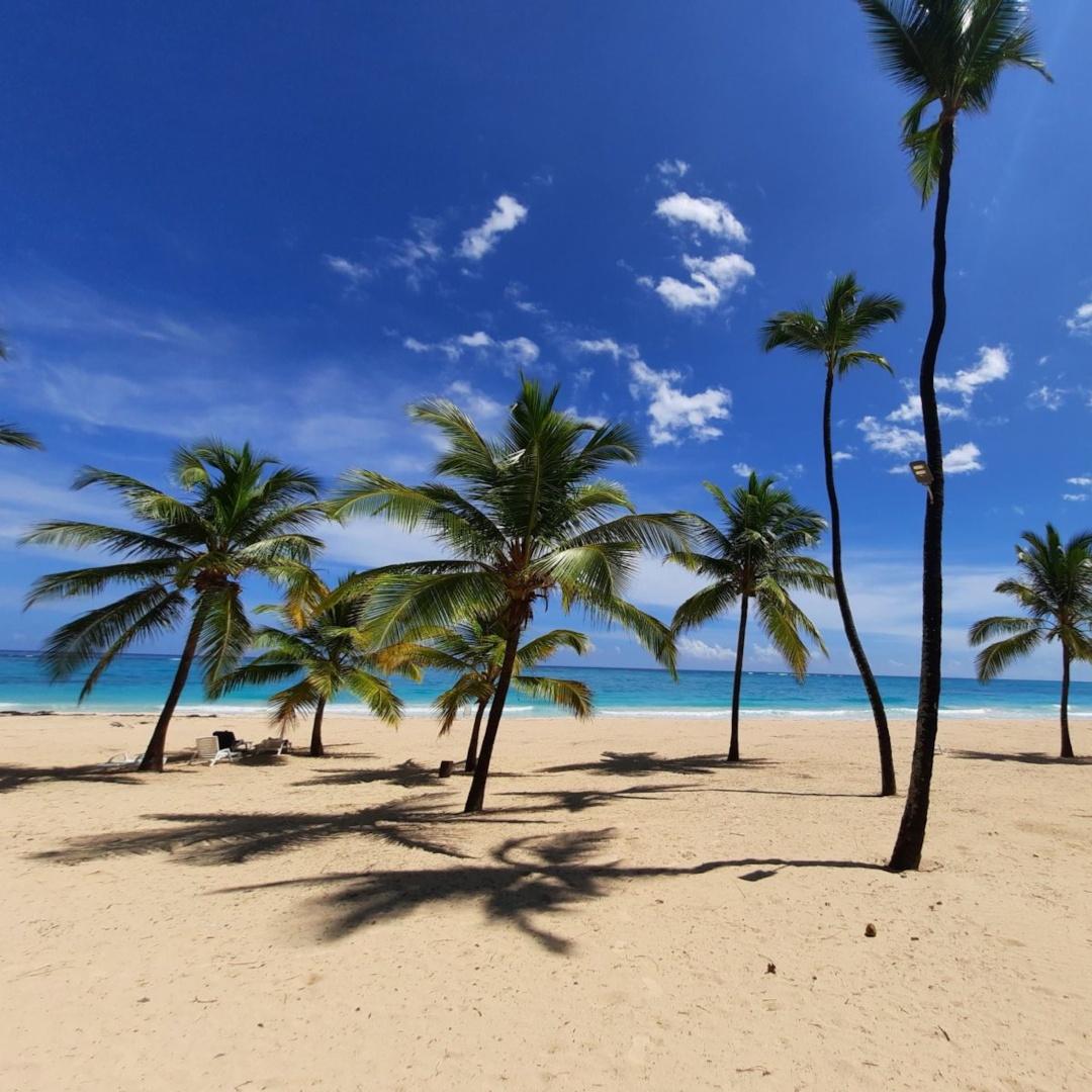 Apartamento en proyecto cerrado con piscina en Bavaro Foto 7233491-9.jpg