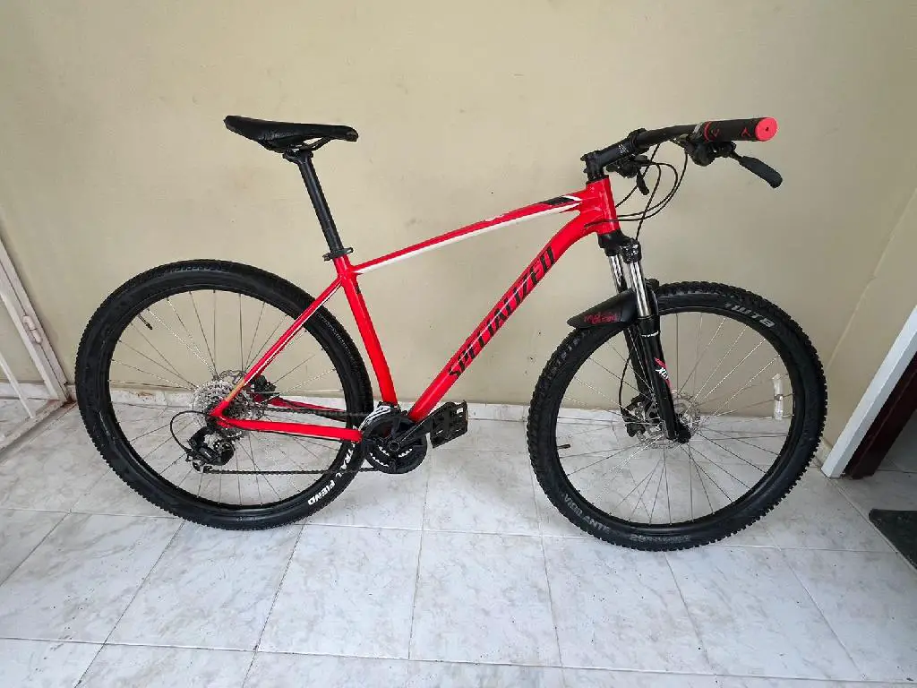 specialized rockhopper L Foto 7235365-1.jpg