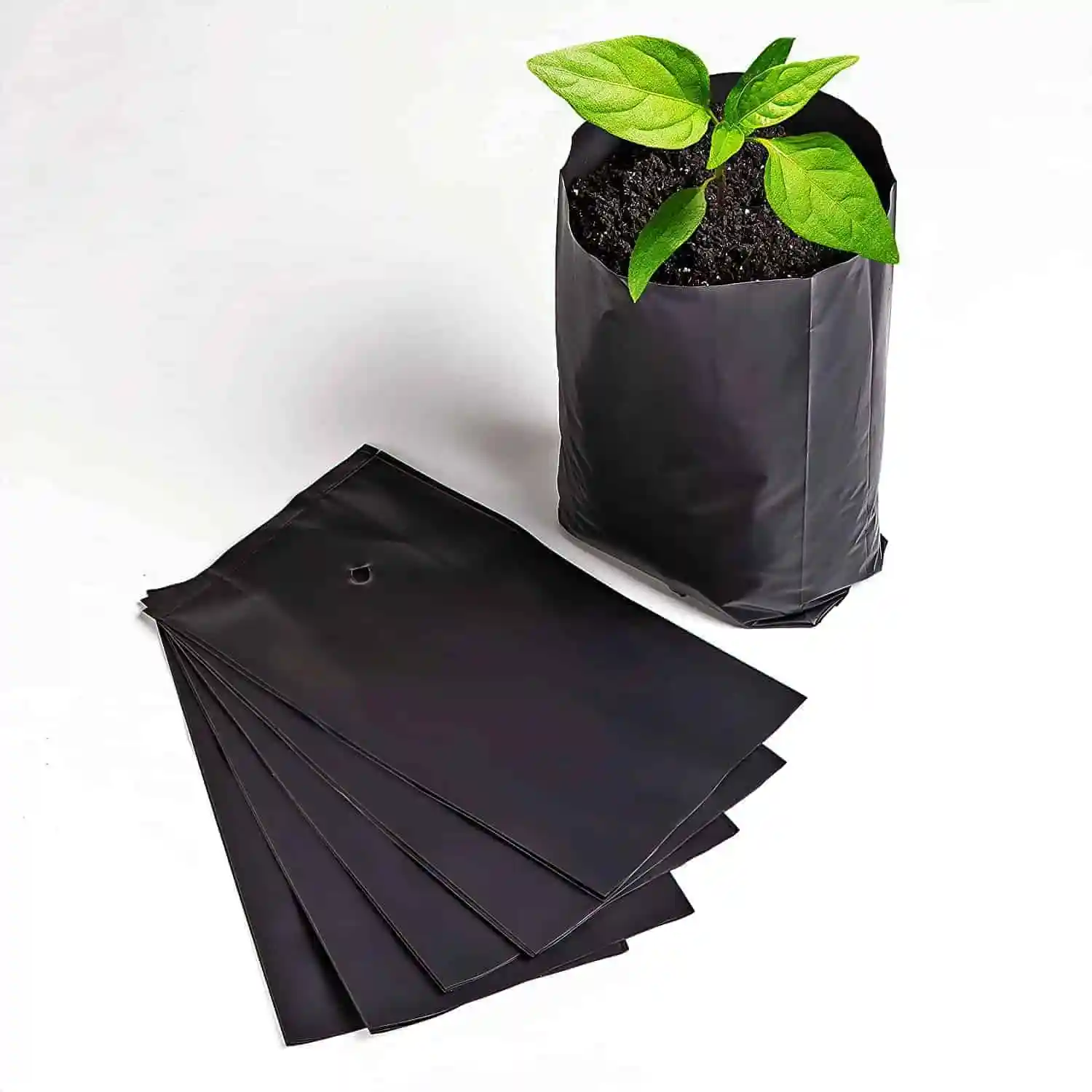 Fundas para Viveros y Jardinería Foto 7236010-2.jpg