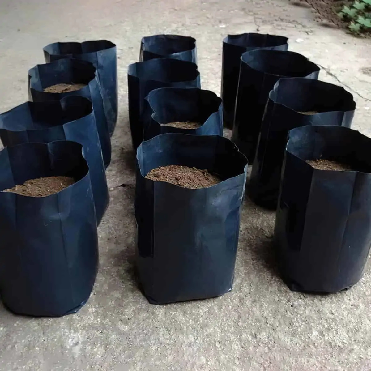Fundas para Viveros y Jardinería Foto 7236010-3.jpg