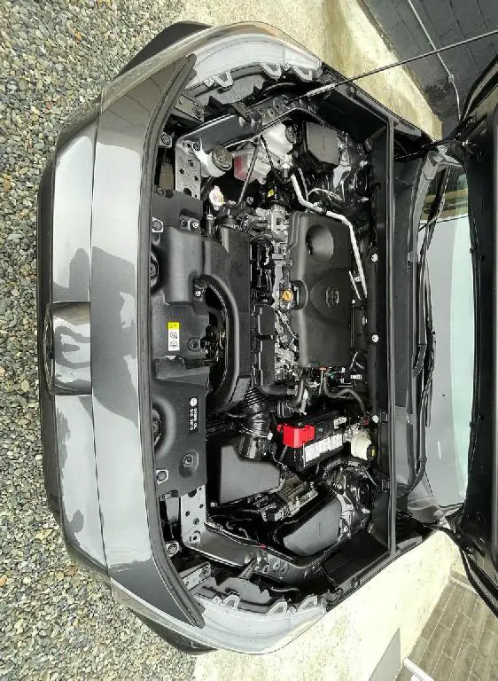 Toyota Rav4 LE Plus 2021 Foto 7236515-1.jpg