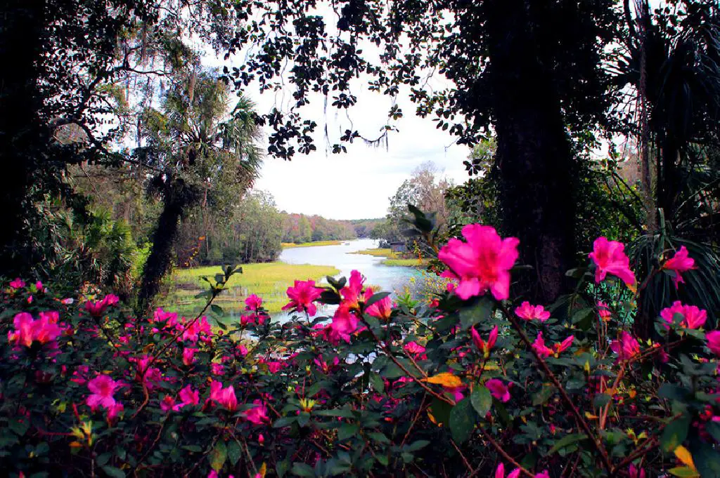 Terrenos de venta listos para construir en Ocala Florida Foto 7237514-5.jpg
