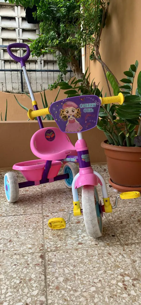 velocípedo diseñado especialmente para niñas Foto 7238287-1.jpg