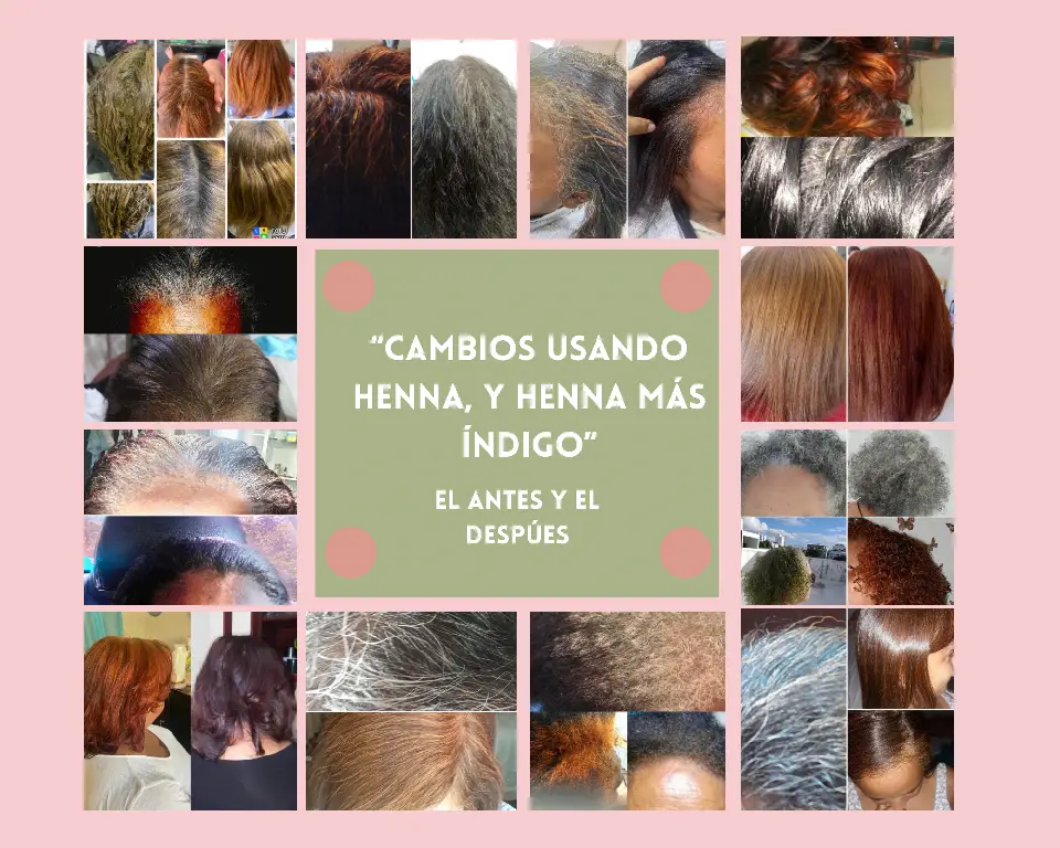 Henna y plantas  ayurvedas Foto 7238387-4.jpg