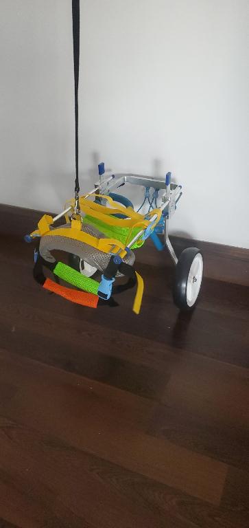 Silla de Rueda ajustable para Perros Foto 7238458-v2.jpg