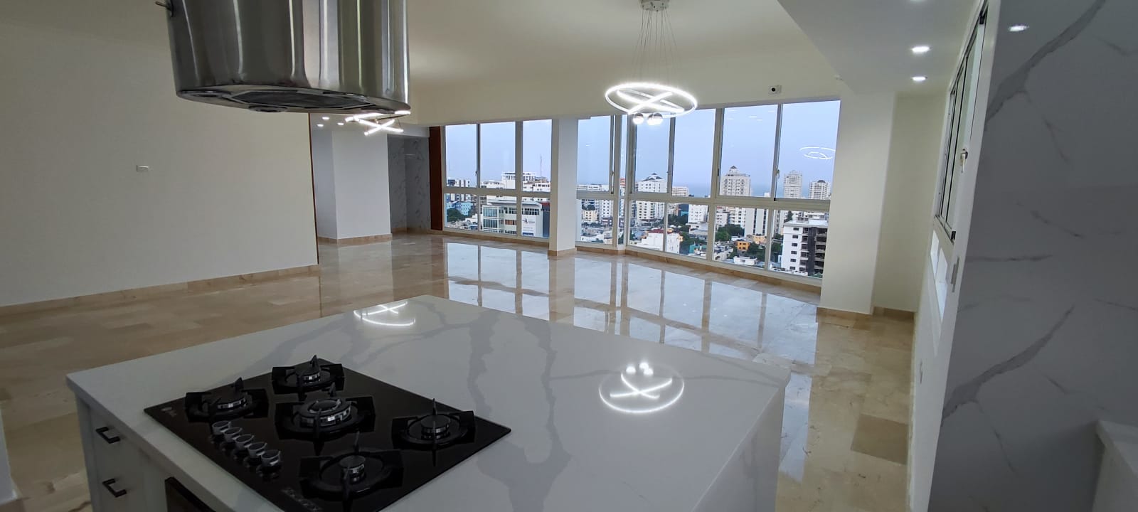 PENTHOUSE EN VENTA EN EL SECTOR EVARISTO MORALES Foto 7239130-8.jpg