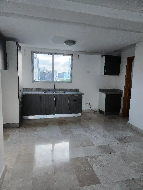 Alquilo Apartamento en Naco Foto 7239540-2.jpg
