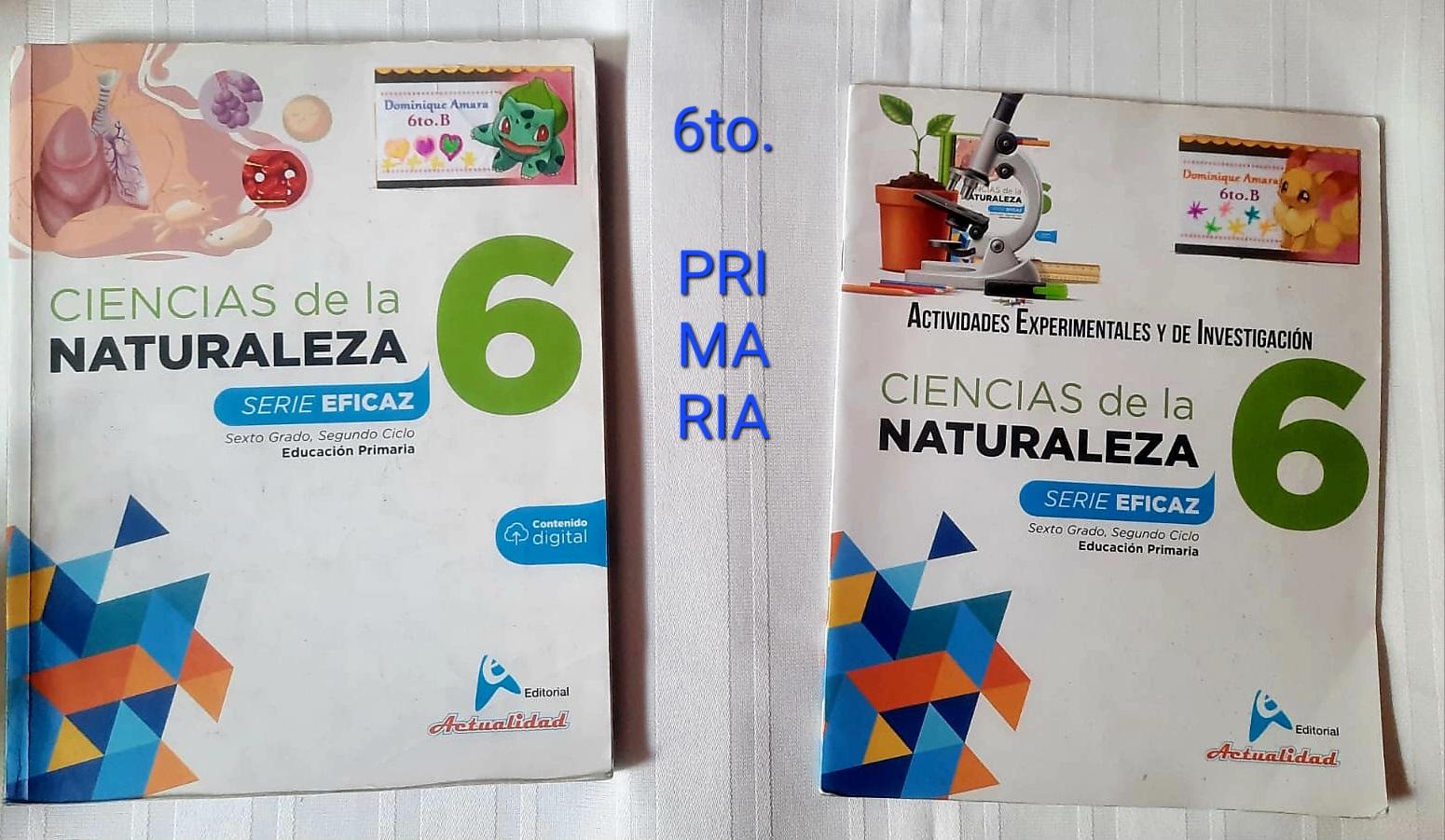 Libros de Texto 6to de Primaria Foto 7240094-3.jpg