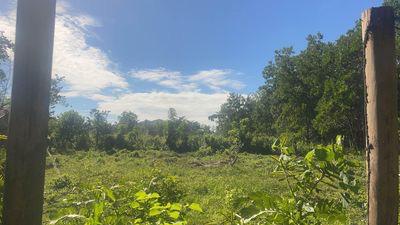 Se Vende Finca en Bonao la tierra tiene 300 Tareas de terreno 72000 la Foto 7240278-1.jpg
