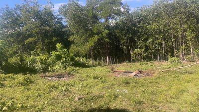 Se Vende Finca en Bonao la tierra tiene 300 Tareas de terreno 72000 la Foto 7240278-3.jpg