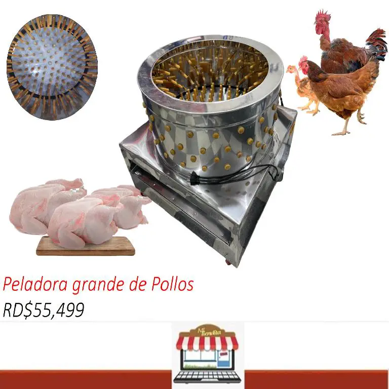 Peladora de pollos industrial desplumadora de aves pato ganso Foto 7240344-1.jpg