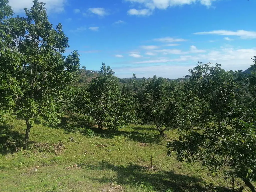 Venta De Finca En San Cristóbal Foto 7240657-2.jpg