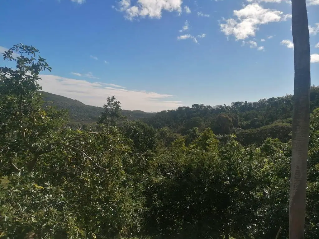 Venta De Finca En San Cristóbal Foto 7240657-3.jpg